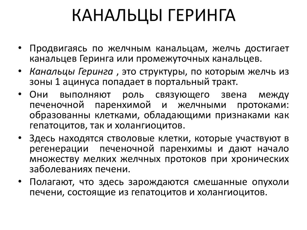 КАНАЛЬЦЫ ГЕРИНГА