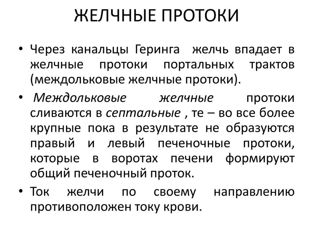 ЖЕЛЧНЫЕ ПРОТОКИ