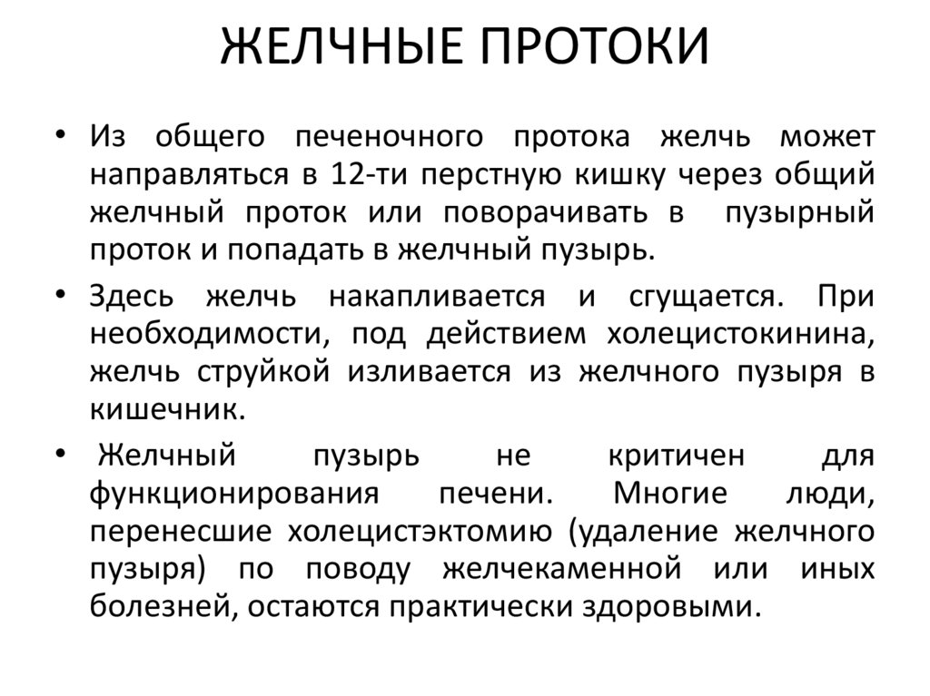 ЖЕЛЧНЫЕ ПРОТОКИ