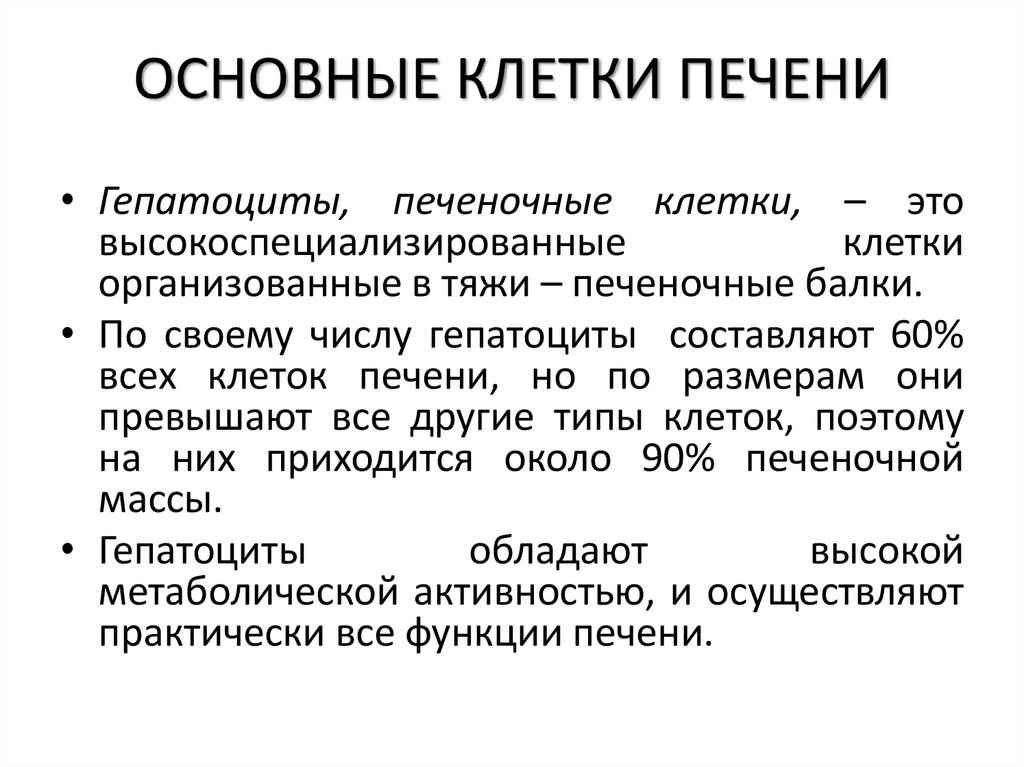 ОСНОВНЫЕ КЛЕТКИ ПЕЧЕНИ