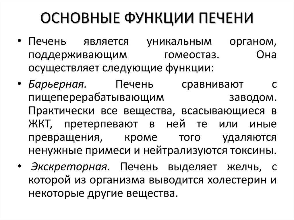 ОСНОВНЫЕ ФУНКЦИИ ПЕЧЕНИ