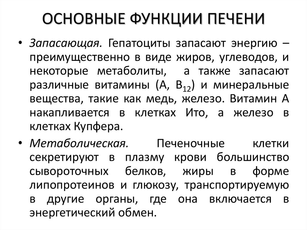 ОСНОВНЫЕ ФУНКЦИИ ПЕЧЕНИ