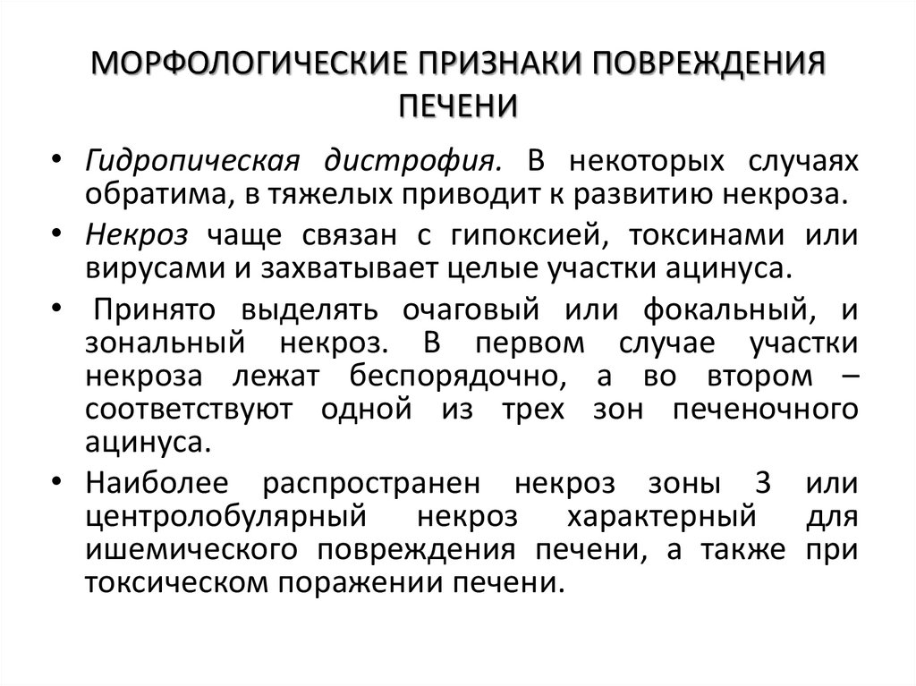 МОРФОЛОГИЧЕСКИЕ ПРИЗНАКИ ПОВРЕЖДЕНИЯ ПЕЧЕНИ