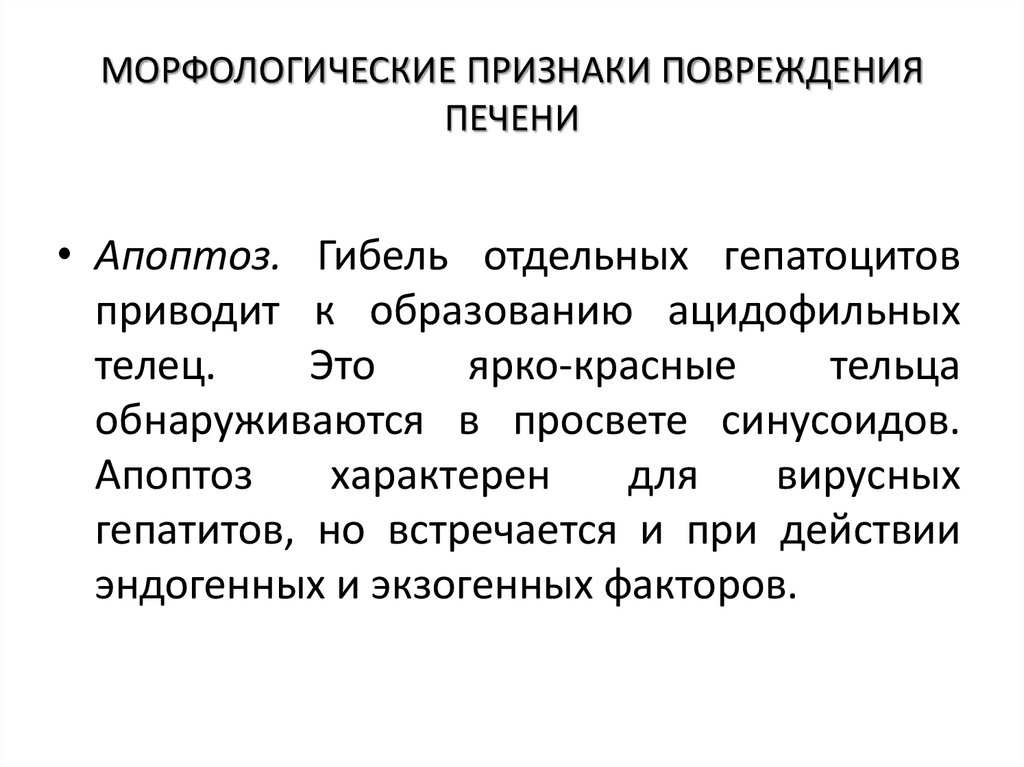 МОРФОЛОГИЧЕСКИЕ ПРИЗНАКИ ПОВРЕЖДЕНИЯ ПЕЧЕНИ