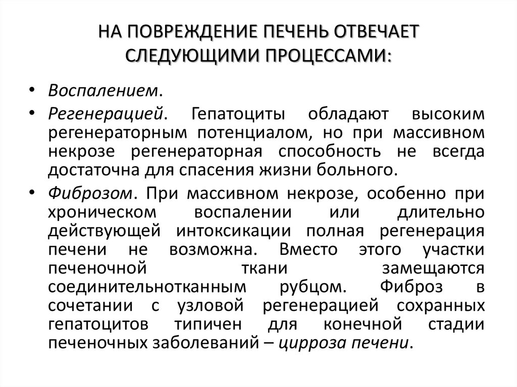 НА ПОВРЕЖДЕНИЕ ПЕЧЕНЬ ОТВЕЧАЕТ СЛЕДУЮЩИМИ ПРОЦЕССАМИ: