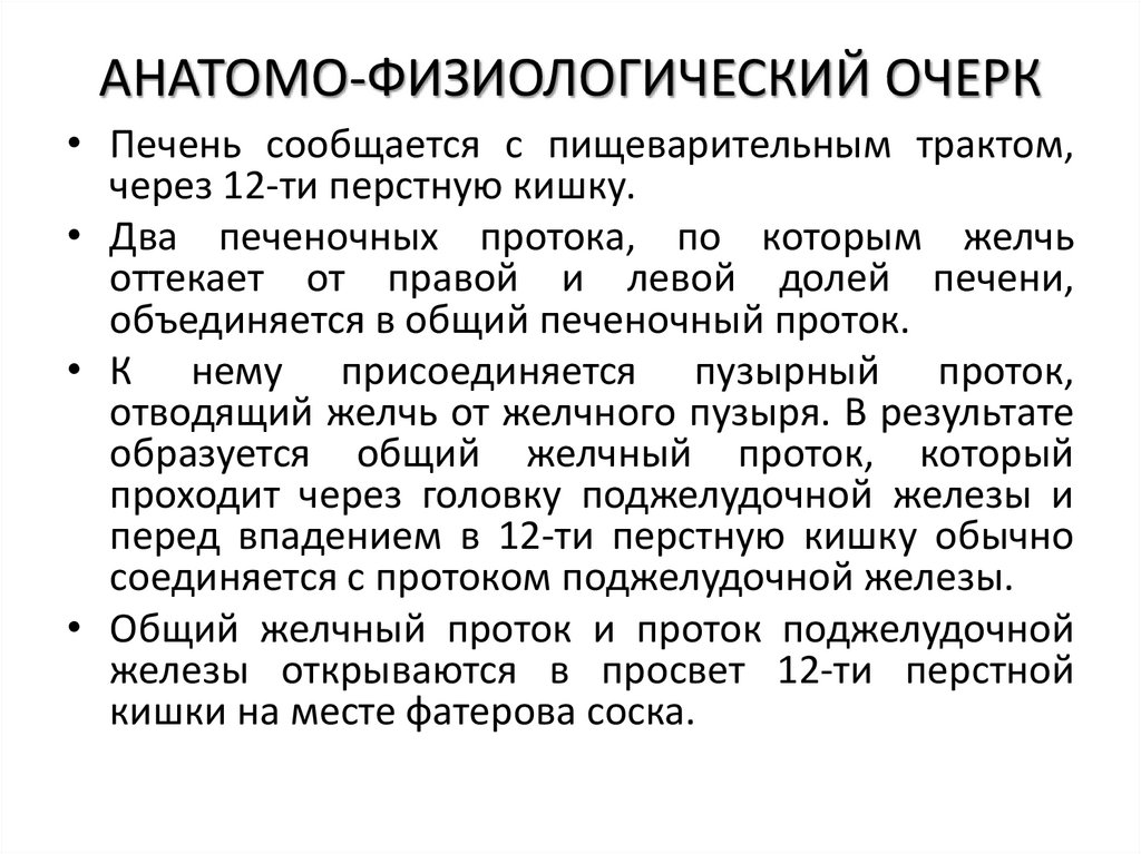 АНАТОМО-ФИЗИОЛОГИЧЕСКИЙ ОЧЕРК