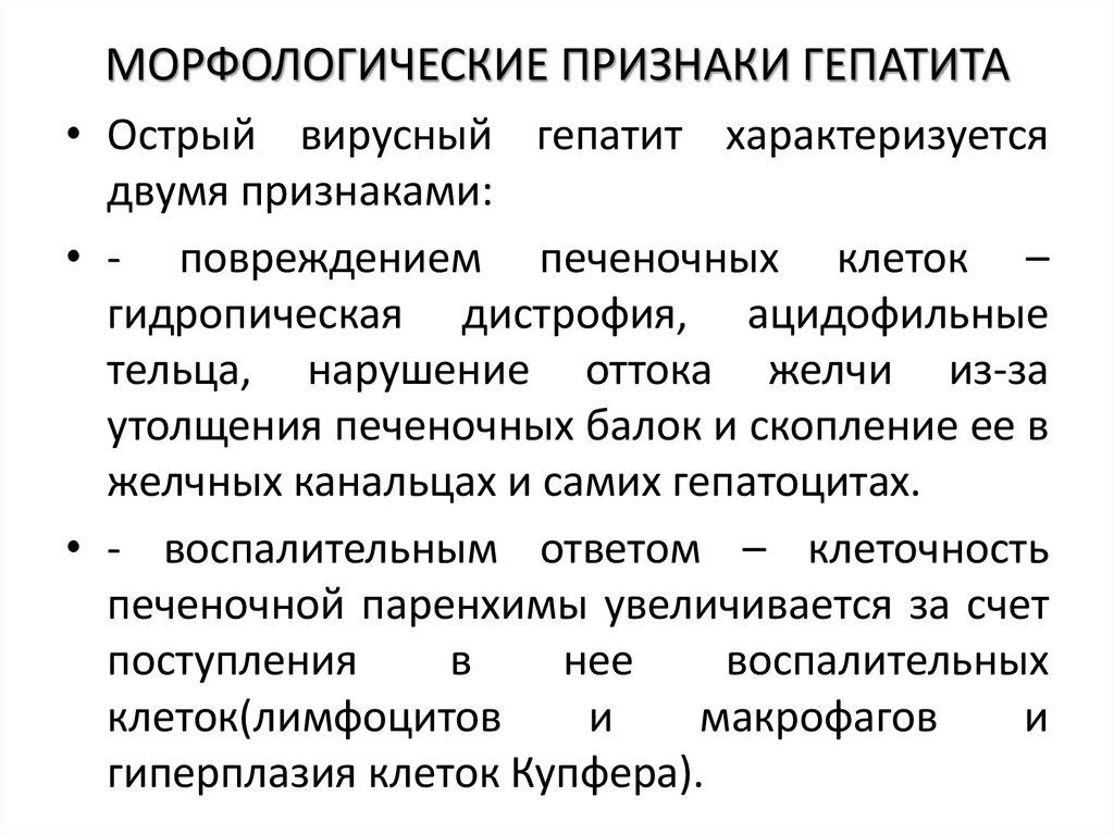 МОРФОЛОГИЧЕСКИЕ ПРИЗНАКИ ГЕПАТИТА