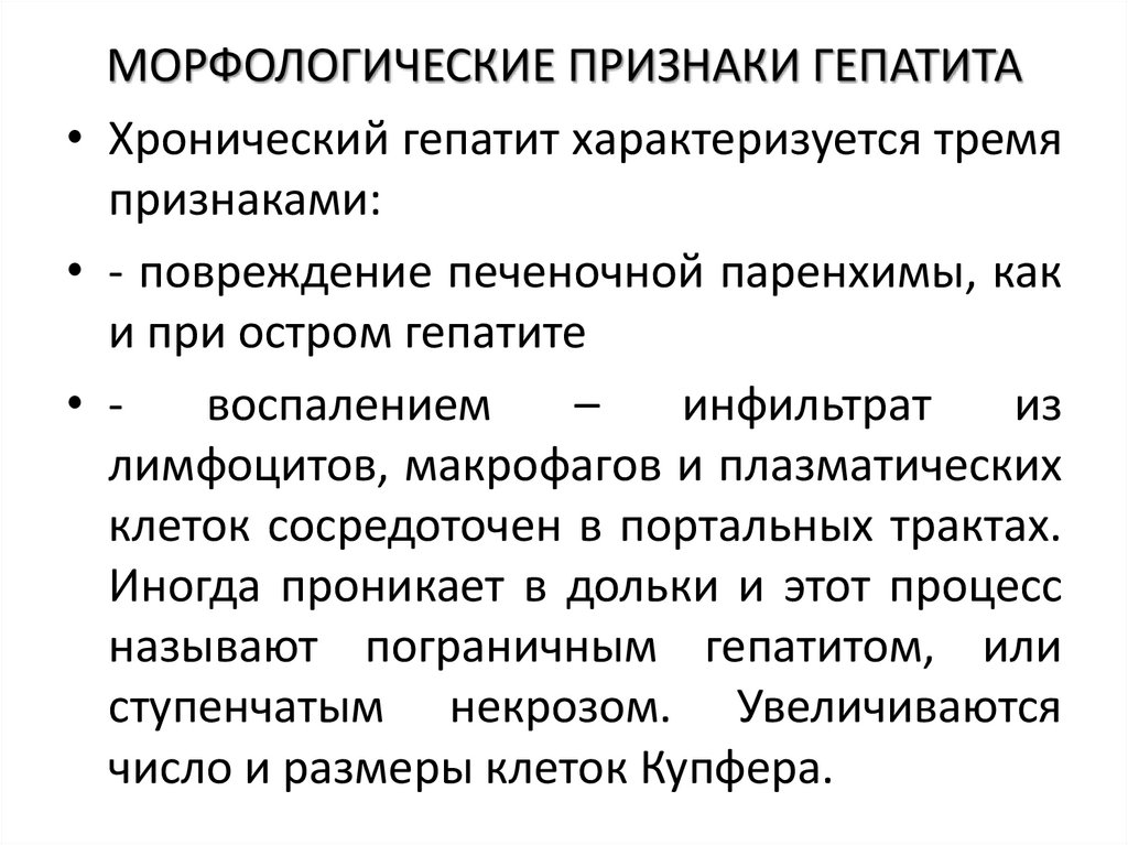 МОРФОЛОГИЧЕСКИЕ ПРИЗНАКИ ГЕПАТИТА