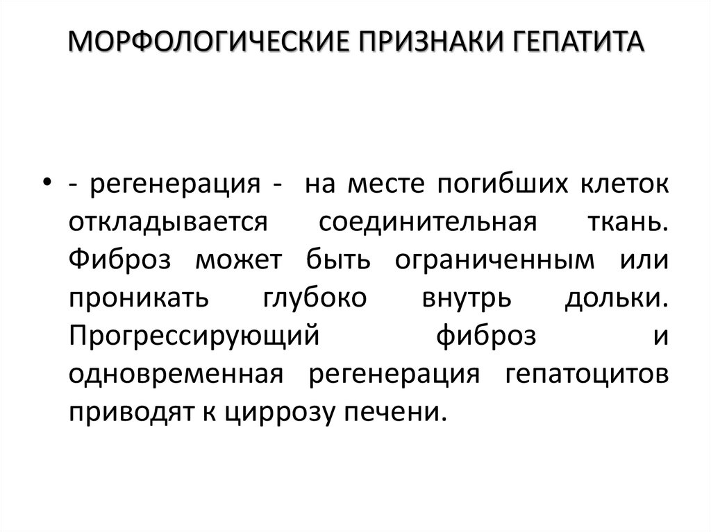 МОРФОЛОГИЧЕСКИЕ ПРИЗНАКИ ГЕПАТИТА