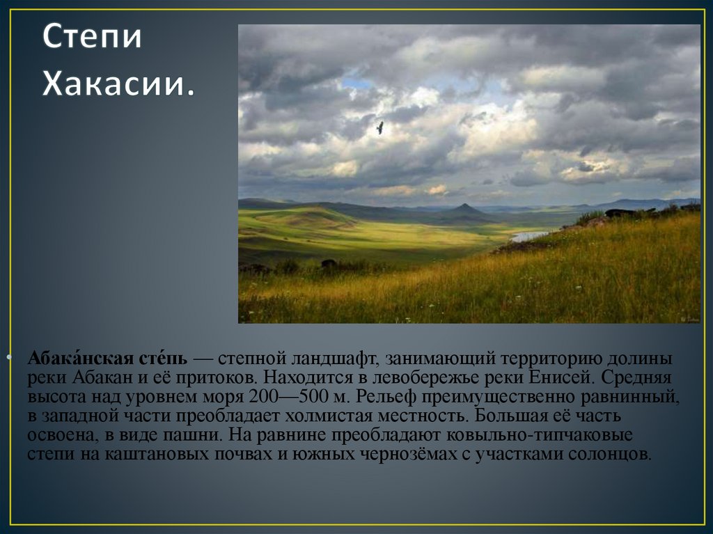 Степи Хакасии.