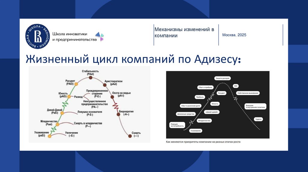Жизненный цикл компаний по Адизесу: