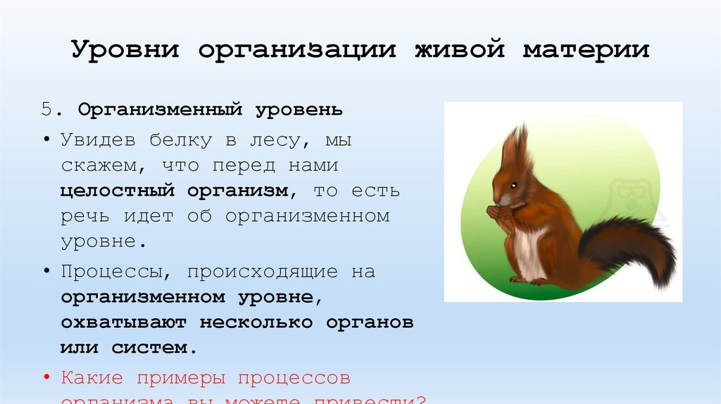 Уровни организации живой материи