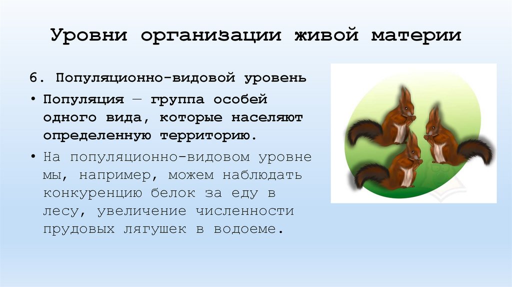 Уровни организации живой материи