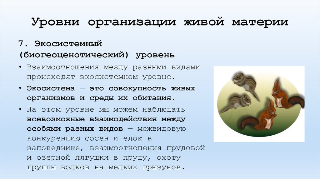 Уровни организации живой материи