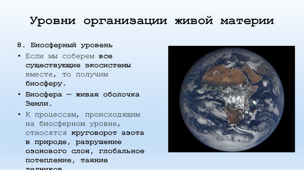 Уровни организации живой материи