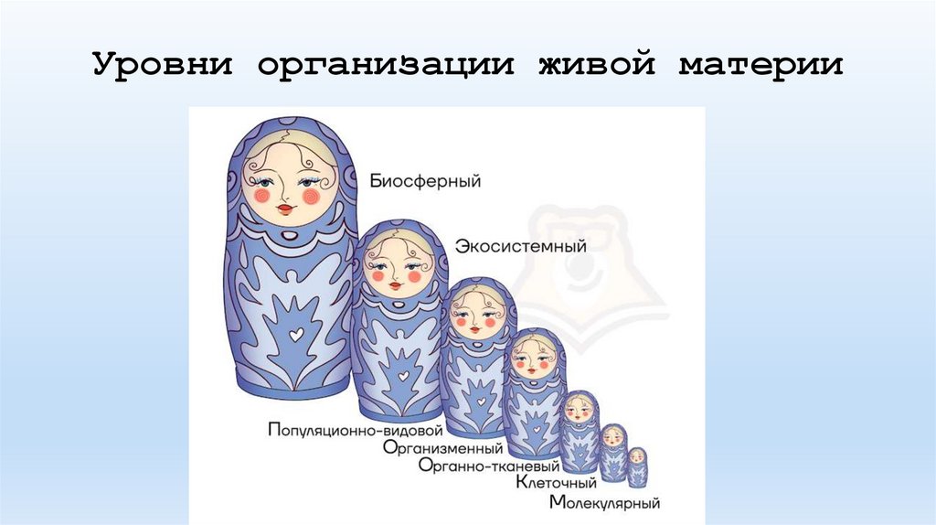 Уровни организации живой материи
