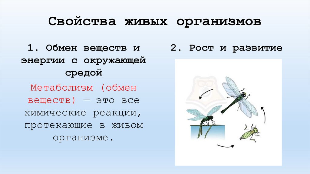 Свойства живых организмов