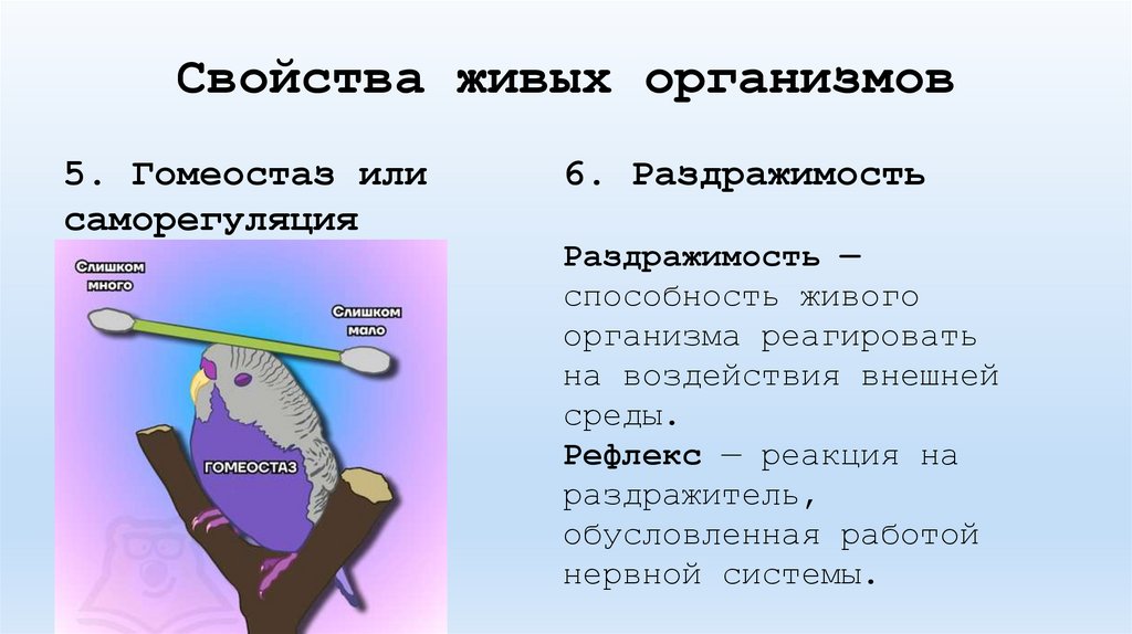 Свойства живых организмов
