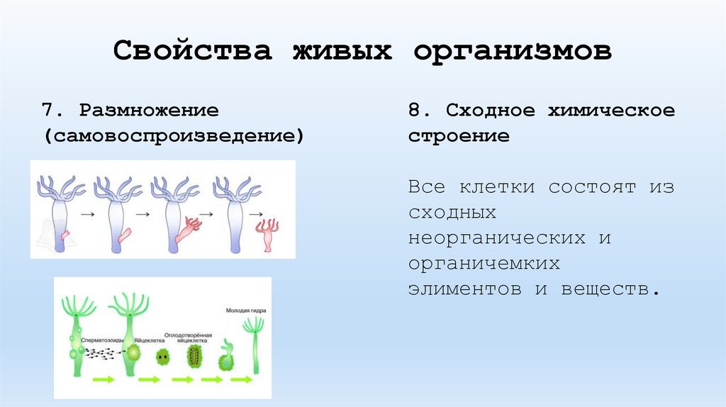 Свойства живых организмов