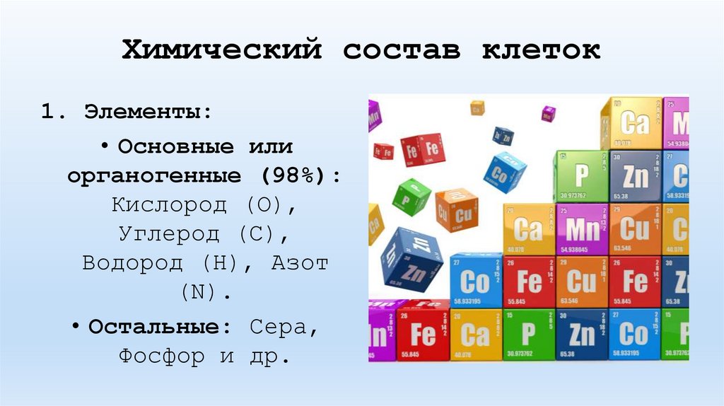 Химический состав клеток