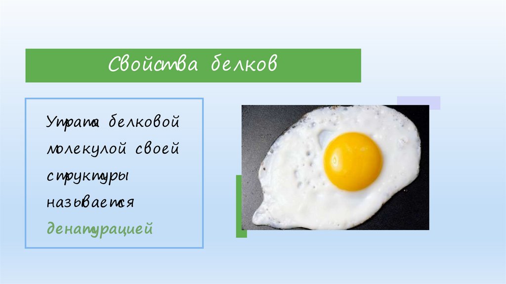 Свойства белков