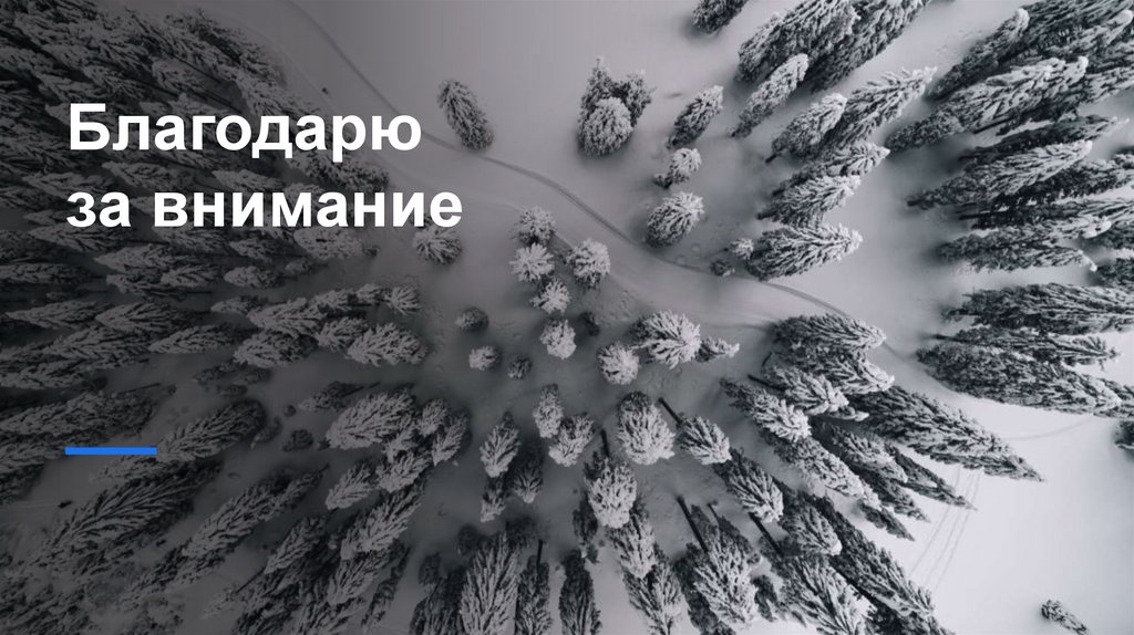 Благодарю за внимание