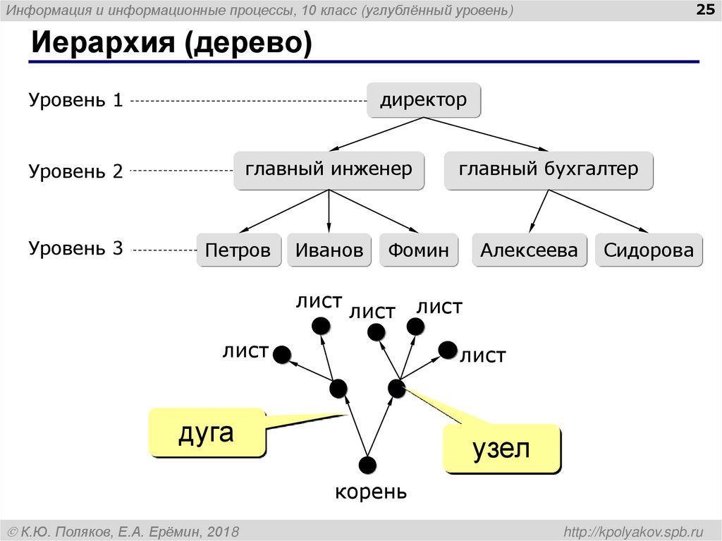 Иерархия (дерево)
