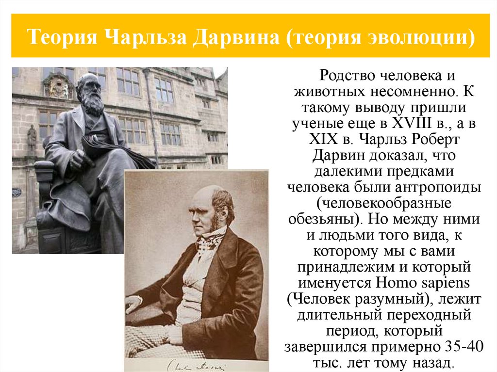 Теория Чарльза Дарвина (теория эволюции)