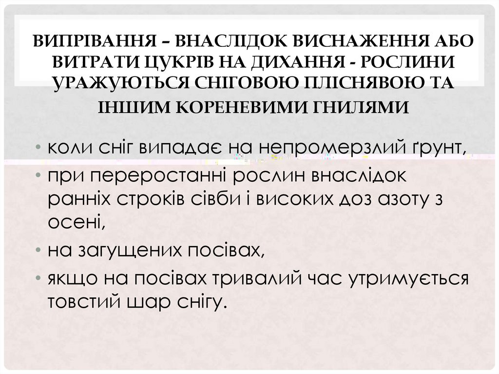 ВИПРІВАННЯ – ВНАСЛІДОК ВИСНАЖЕННЯ АБО ВИТРАТИ ЦУКРІВ НА ДИХАННЯ - РОСЛИНИ УРАЖУЮТЬСЯ СНІГОВОЮ ПЛІСНЯВОЮ ТА ІНШИМ КОРЕНЕВИМИ
