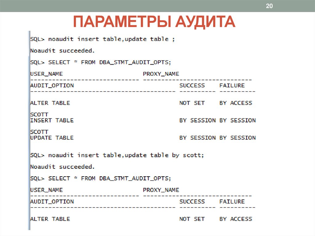 ПАРАМЕТРЫ АУДИТА