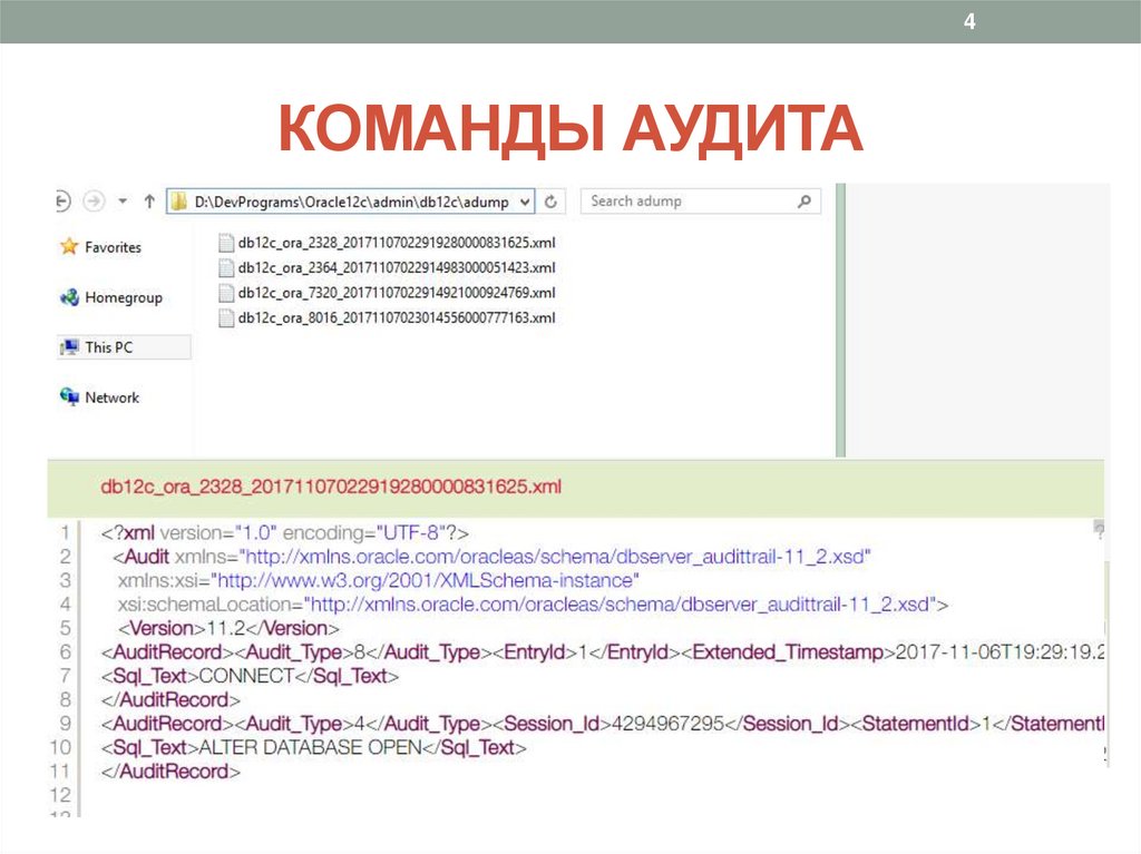 КОМАНДЫ АУДИТА