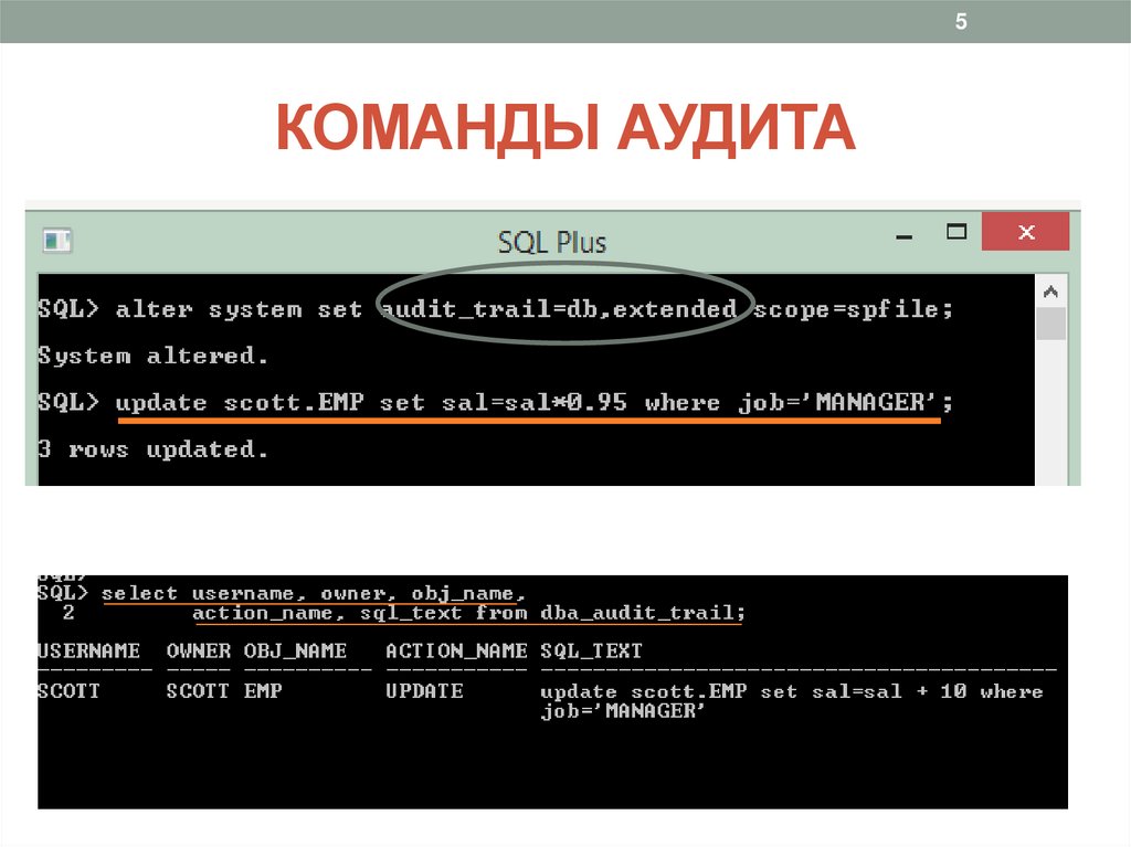 КОМАНДЫ АУДИТА