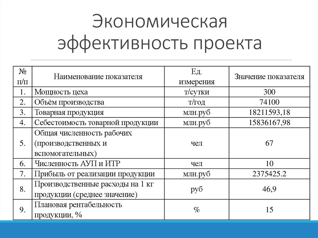 Экономическая эффективность проекта