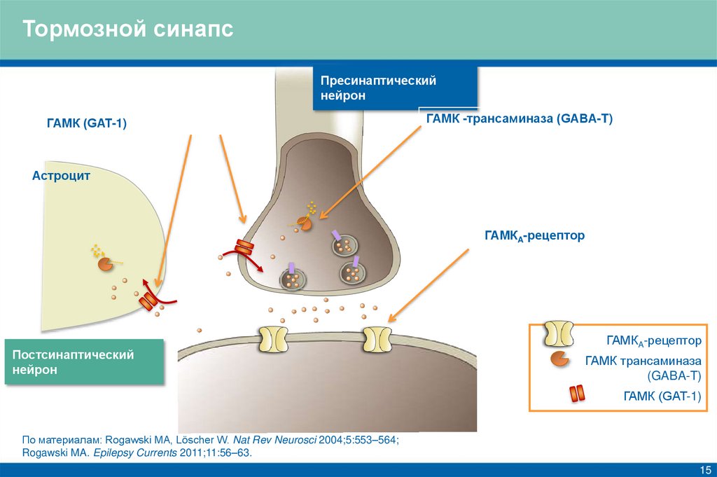 Тормозной синапс