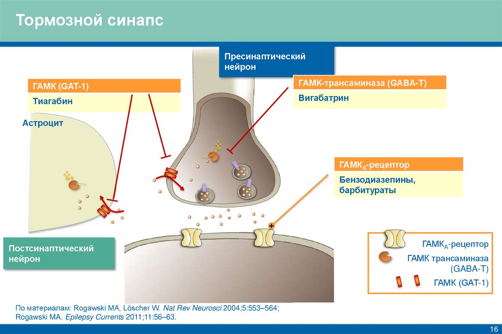 Тормозной синапс