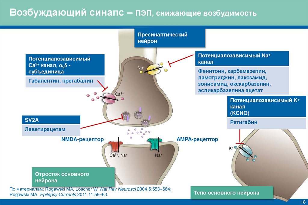 Возбуждающий синапс – ПЭП, снижающие возбудимость