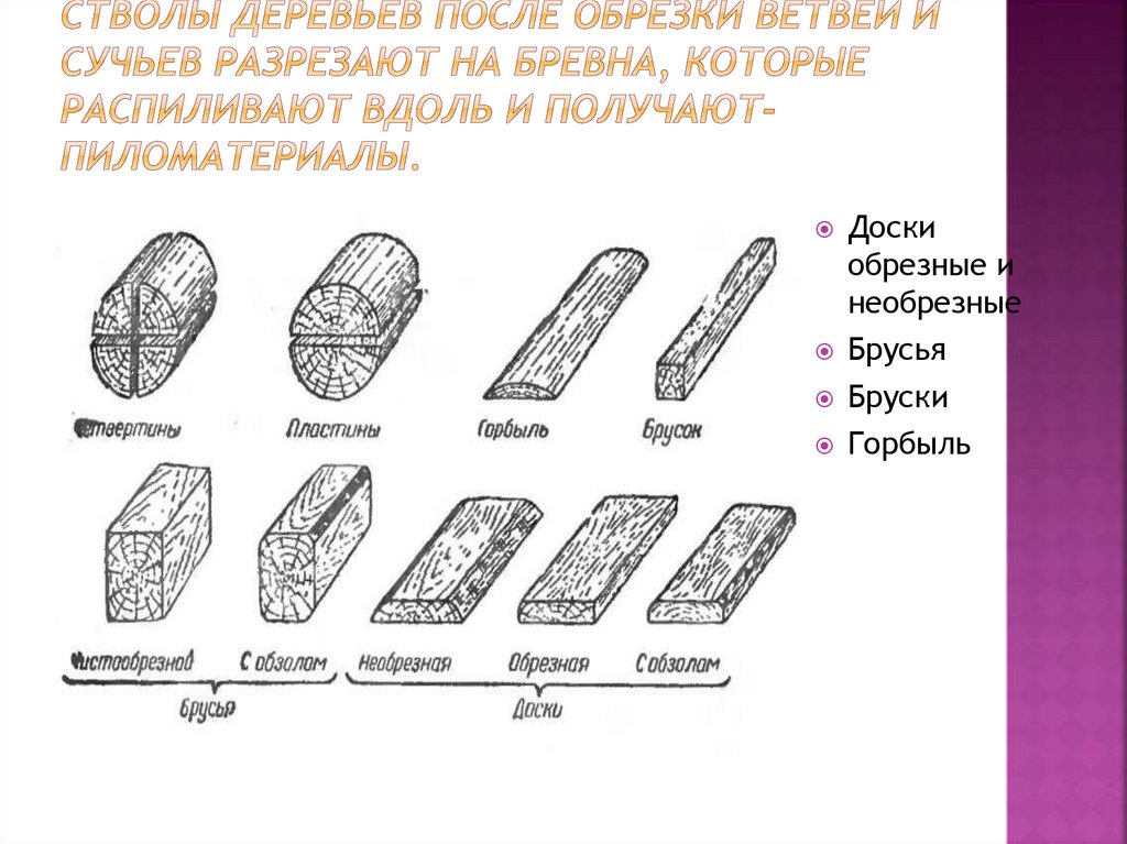 Стволы деревьев после обрезки ветвей и сучьев разрезают на бревна, которые распиливают вдоль и получают- Пиломатериалы.