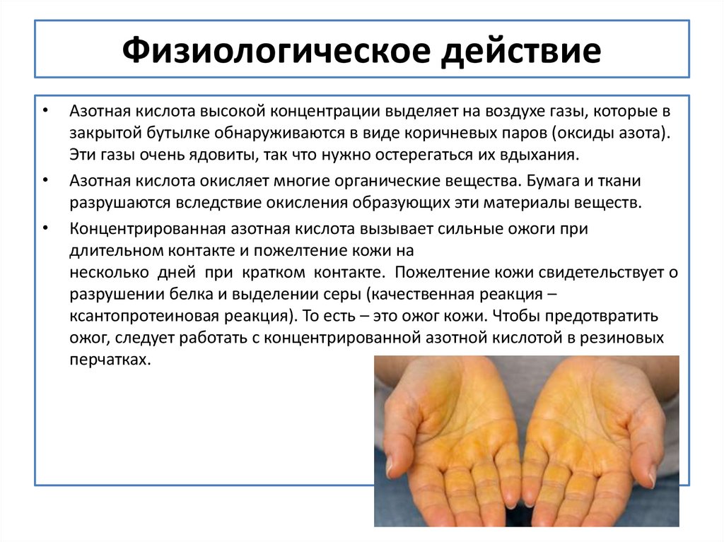 Физиологическое действие