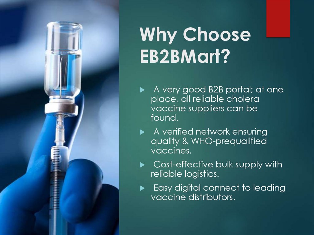 Why Choose EB2BMart?