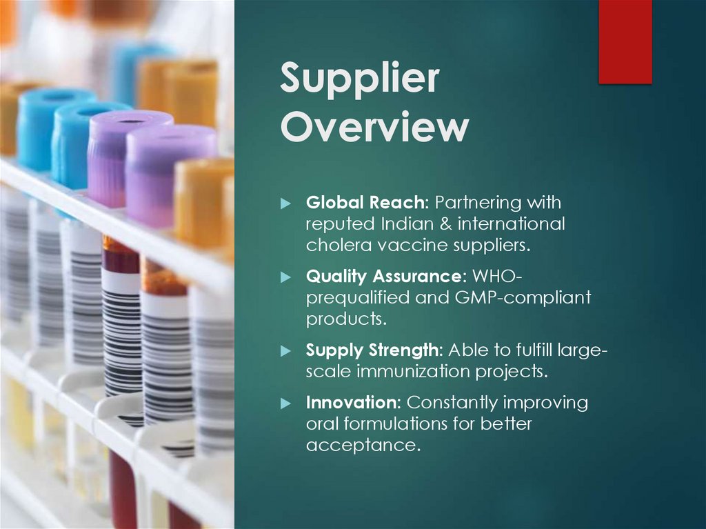Supplier Overview