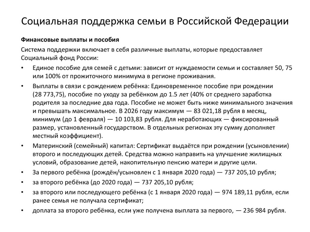 Социальная поддержка семьи в Российской Федерации