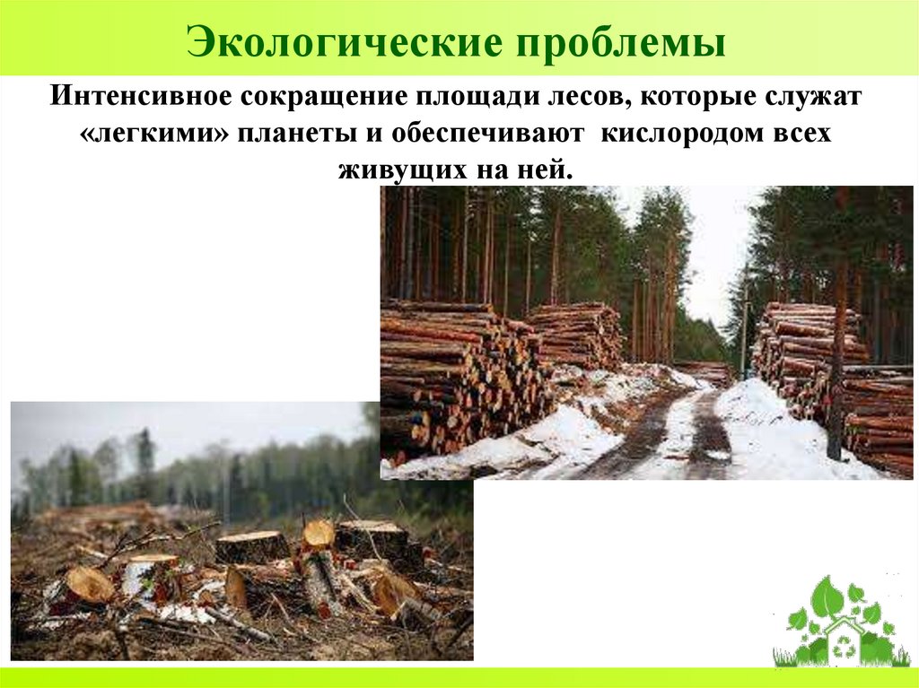 Экологические проблемы