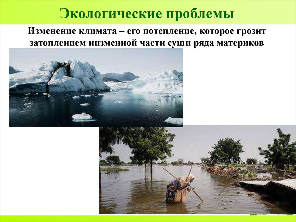 Экологические проблемы