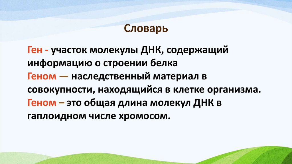 Словарь