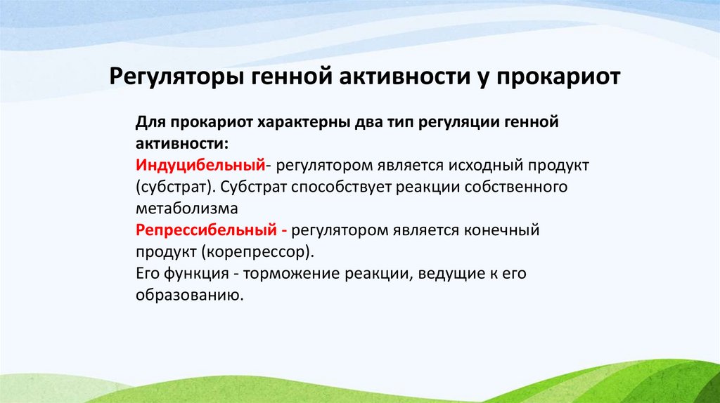 Регуляторы генной активности у прокариот