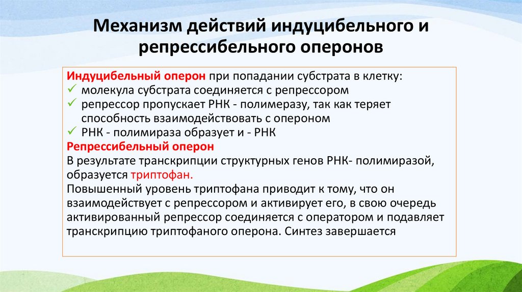 Механизм действий индуцибельного и репрессибельного оперонов