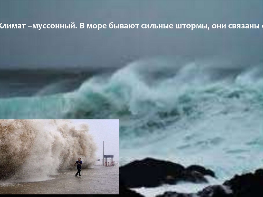 Климат –муссонный. В море бывают сильные штормы, они связаны с циклонами.