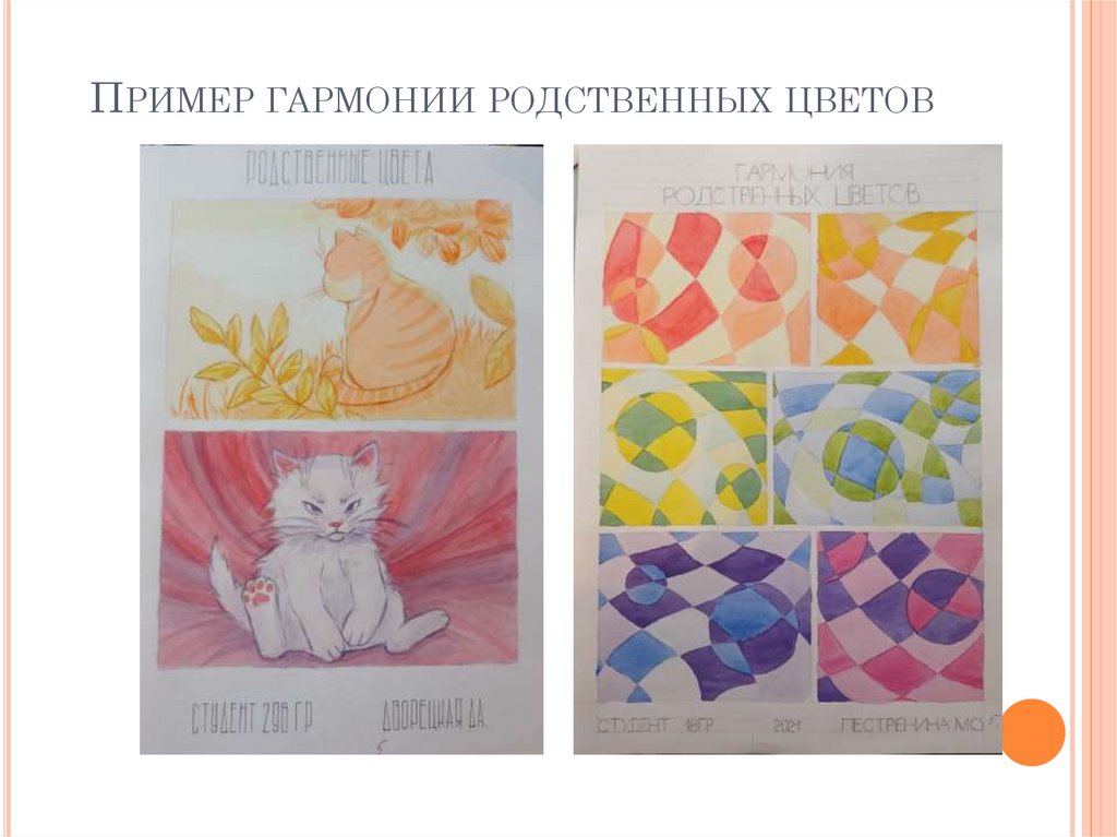 Пример гармонии родственных цветов