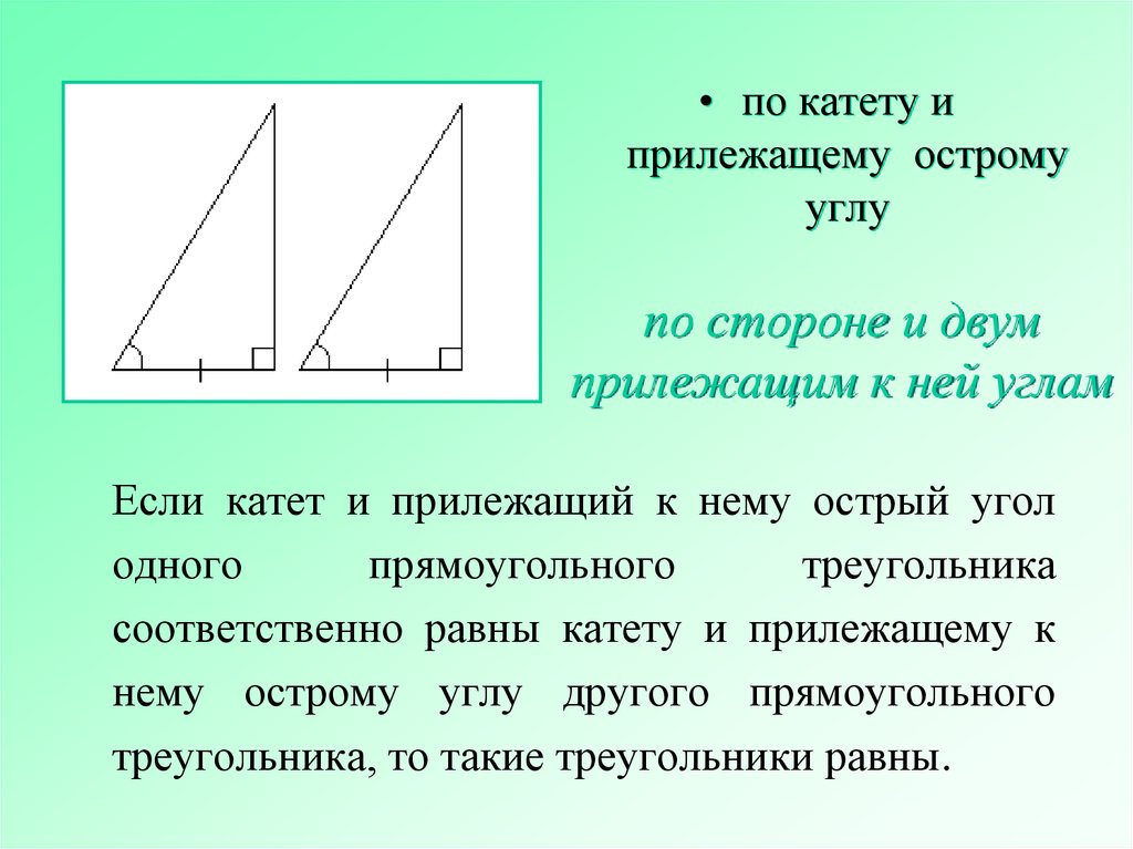 Если катет и прилежащий к нему острый угол одного прямоугольного треугольника соответственно равны катету и прилежащему к нему