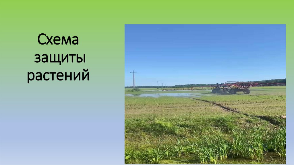 Схема защиты растений